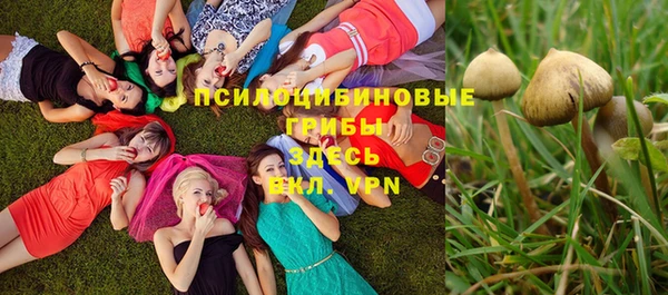 бошки Балахна