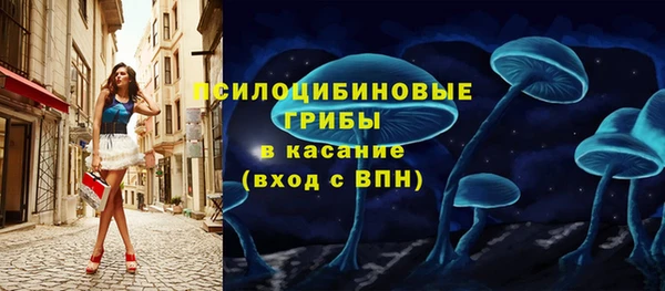 амф Сатка