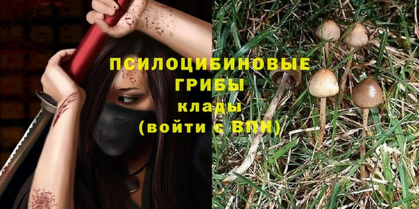 бошки Балахна