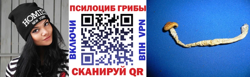 Галлюциногенные грибы MAGIC MUSHROOMS  Лаишево 